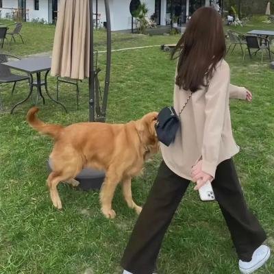 恐惧私窦